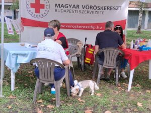 A rendezvényen ezúttal is nagy sikert arattak a gyermekek szórakoztatását szolgáló programok, mint a Csupa Csoda Játszótér, a Kalandpark és a Forgó hordó, de sokan voltak azok a gyerekek is, akik engedtek az Angyalföldi Természetbarát és Testedző Egyesület meghívásának és próbára tették ügyességüket a babzsák célba dobásban. A kora esti órákig folyamatos érdeklődés volt tapasztalható a Vöröskereszt sátránál is, ahol az életvezetési tanácsok mellett bárki ellenőrizhette a vérnyomását, a koleszterin és a vércukor szintjét.