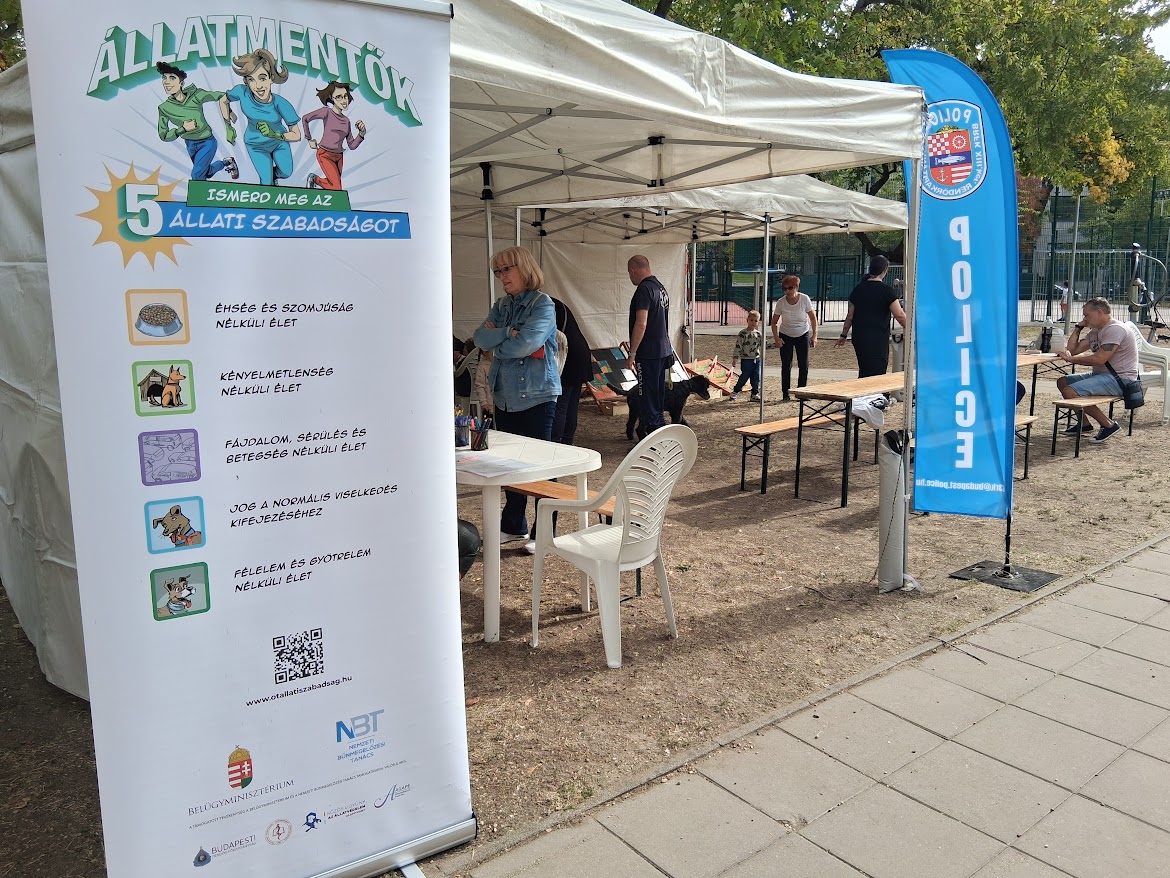 Kutyák, macskák, nyulak kavalkádja kiemelt képe