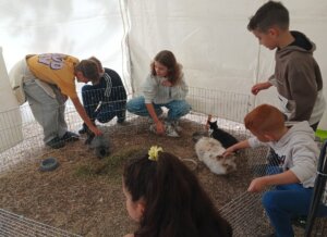 A nagy érdeklődéssel kísért rendezvény házigazdái a Panelkutya Állatbarát- Sport és Szabadidős Egyesület és a XIII. Kerületi Közszolgáltató Nzrt. voltak.
